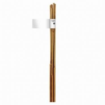 BAMBOO bambusz termesztő karó, Ø 10-12 mm, 120 cm, 3db karó/ köteg
