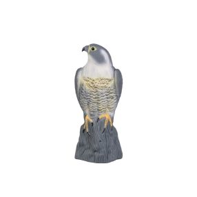 Madárriasztó, sólyom