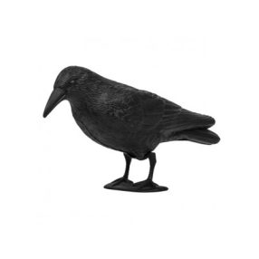 Madárriasztó, varjú