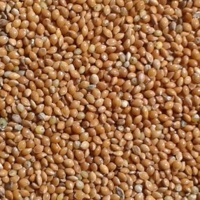 Vogel Sárga köles 1 kg, 10 db/ #