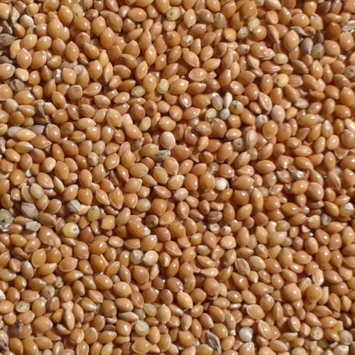 Vogel Sárga köles 1 kg, 10 db/ #