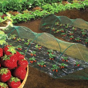 Madárháló, Birdnet, zöld, 2 m x 10 m, I